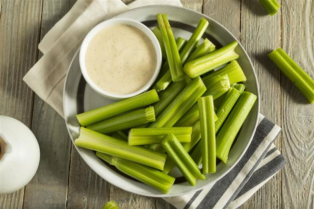 Raw Organic Green Celery Stalks