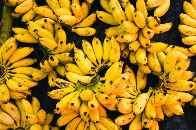 Bunches Of Sweet Bananas Sold