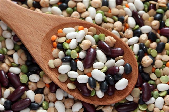 Mixed Beans In Wooden Spoon