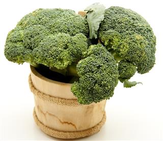 Broccoli in tub