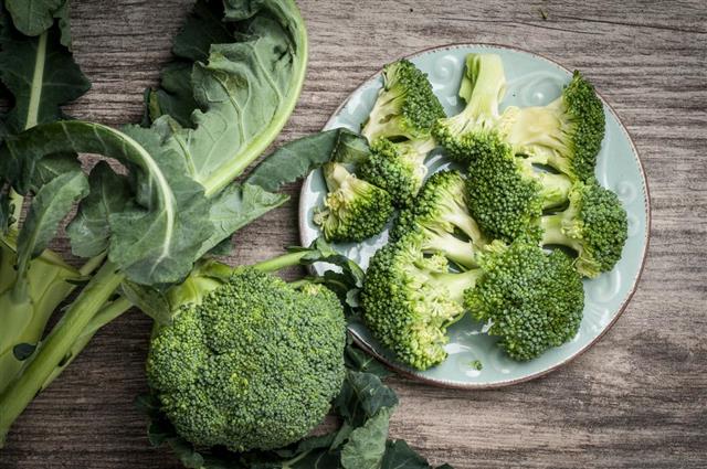 Full plate of raw broccoli