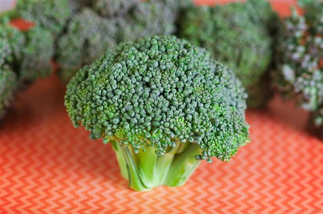 Fresh raw organic broccoli on rustic orange background