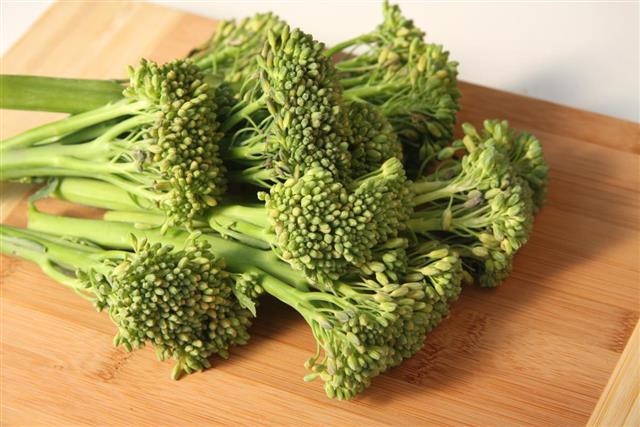 Fresh young Broccoli