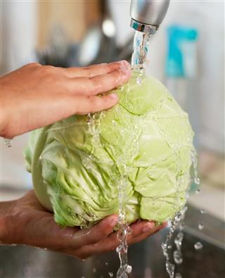 The cabbage is being washed in water