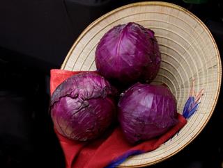 Purple Cabbage in a Straw Hat