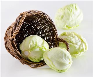 Cabbage with Basket