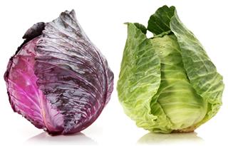 Red and green cabbage