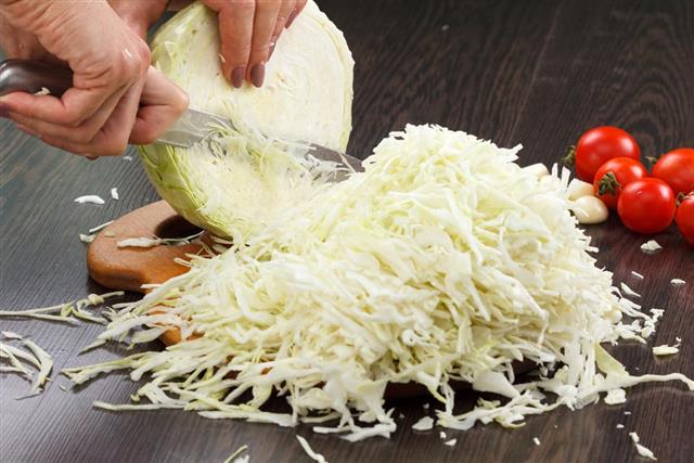Cutting cabbage on a board