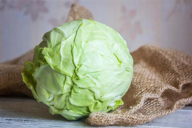 Head of cabbage on sackcloth on white wooden table