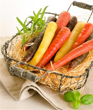 Bunch of colored fresh carrots