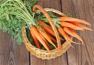 Fresh organic carrots in a basket, selective focus