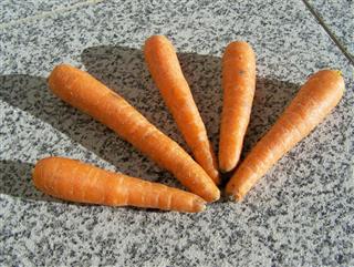Carrots detail