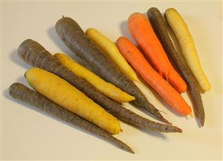 Carrots of different colors