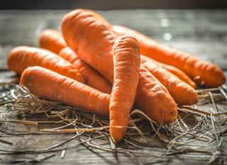 Fresh organic Carrots