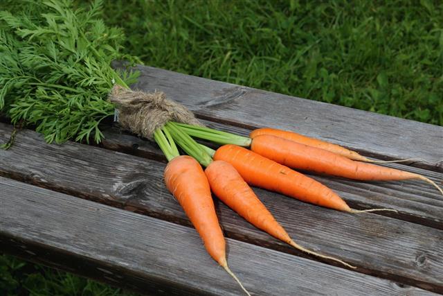 Fresh crop of carrots tie beam