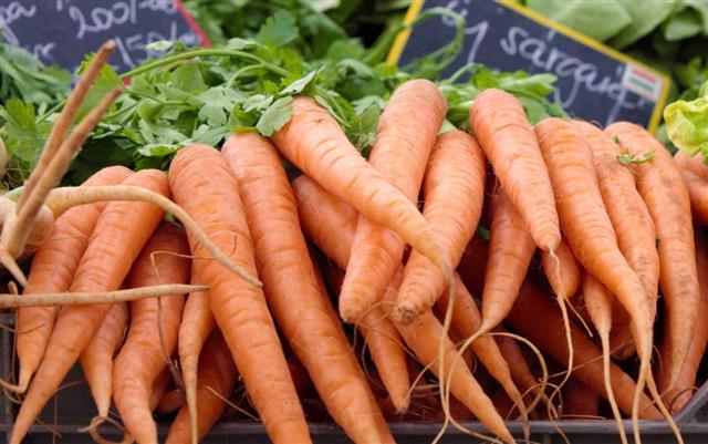 Fresh carrots at the market