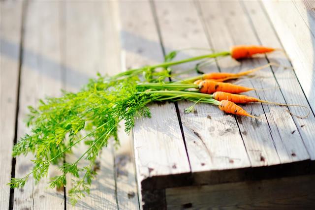 Organic carrots on wooden stages