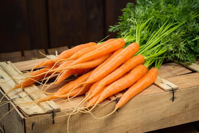 Bunch on fresh orange carrots on wooden box