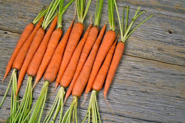 Raw carrots on wood