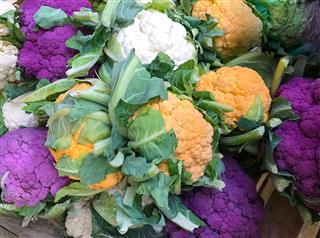 Various types of cauliflower in different colors
