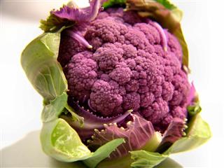 Purple Baby Cauliflower