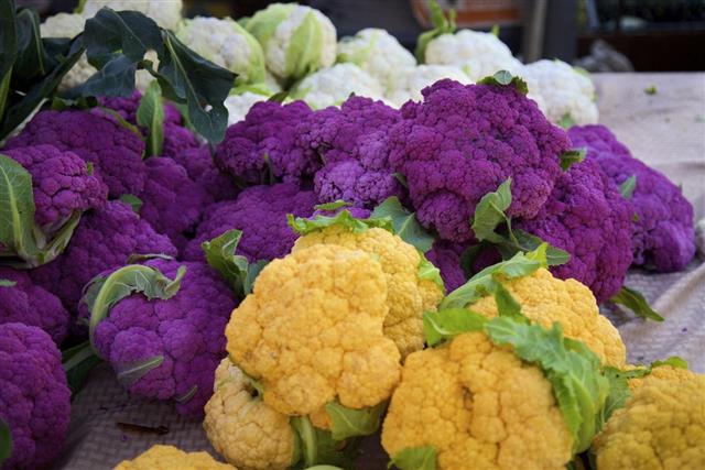 Colorful cauliflower