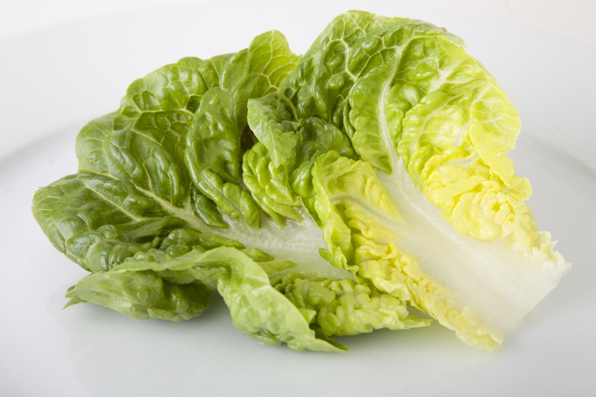 Romaine Lettuce Nutrition Facts