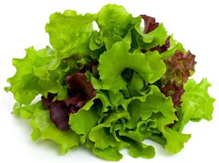 Green and red lettuce