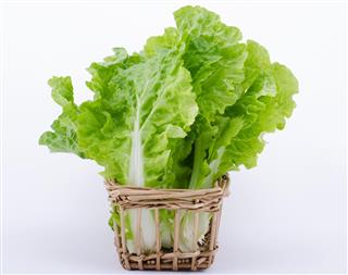 Vegetables lettuce