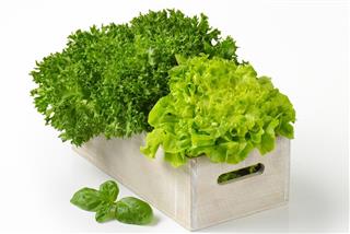 Box of lettuce