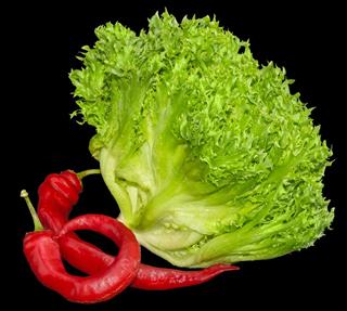 Lettuce head and two chili on a dark background