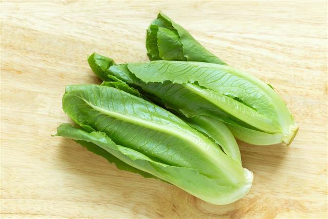 Cos Lettuce on wood background