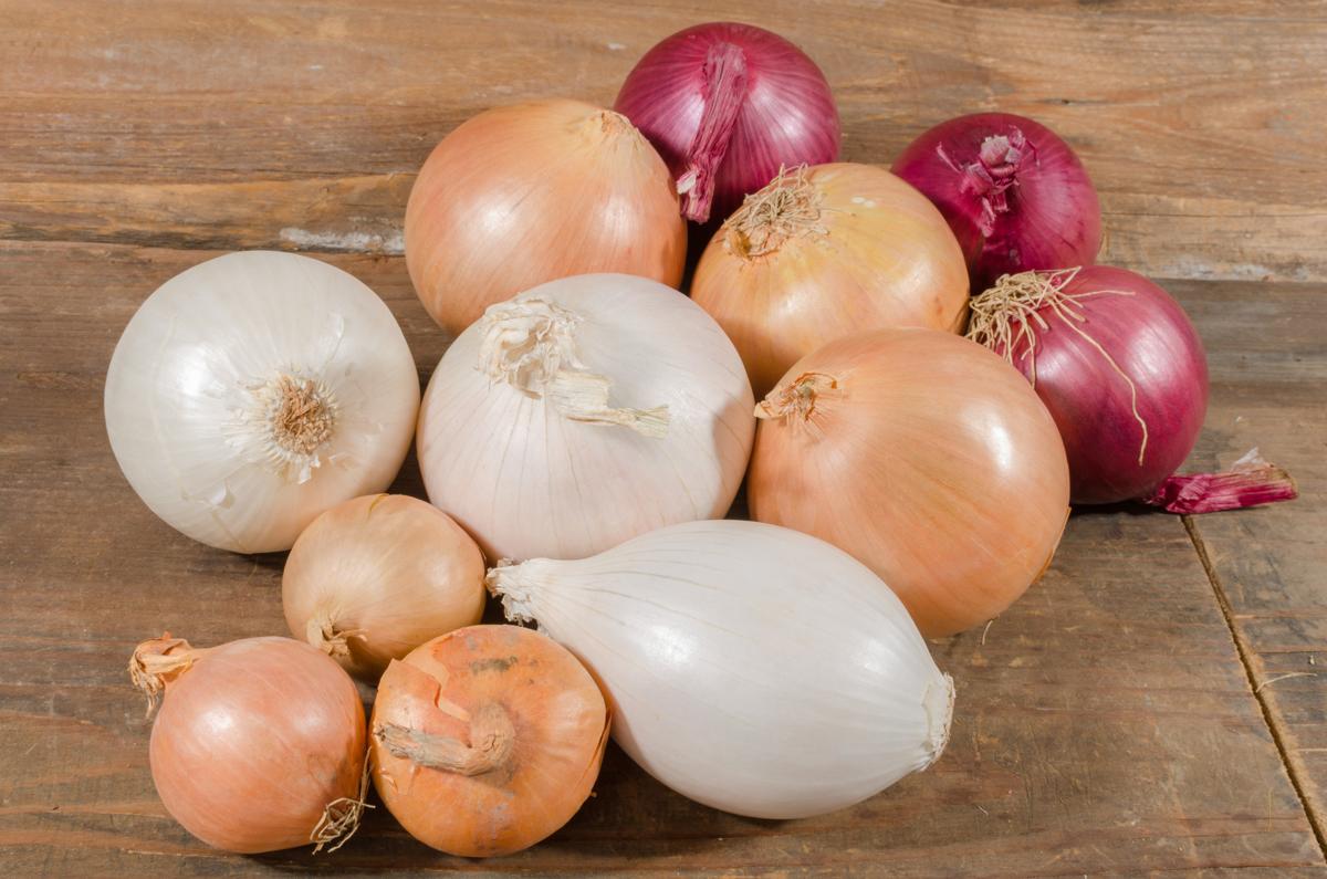 Types of Onions