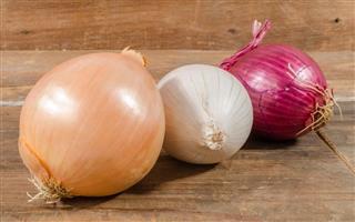 Different types of onions