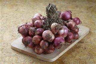 Red shallot onions a group on chopping wood