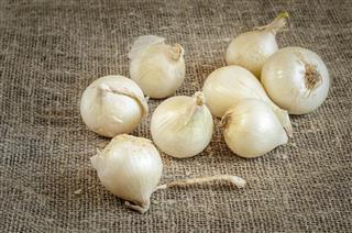 White onion on a napkin of burlap