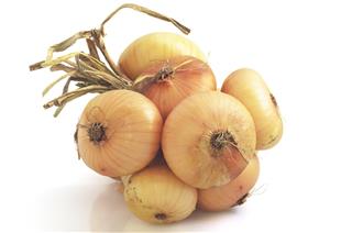Fresh onion bunch on white background