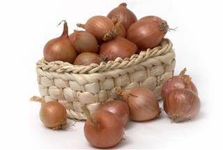 Onion in the basket