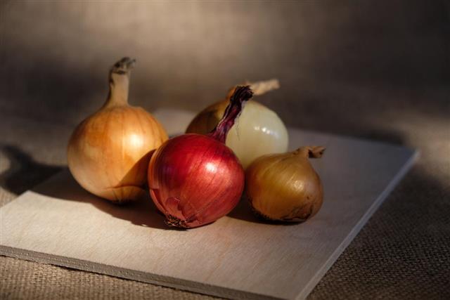 Group of onion different colored located on wooden board