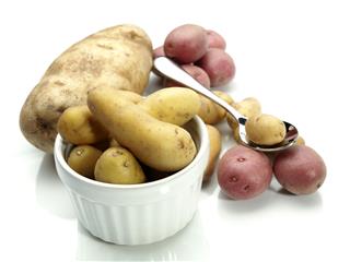 Assorted Potato Types
