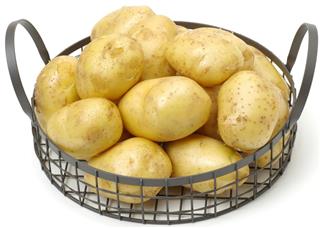 Ripe potato on a white background