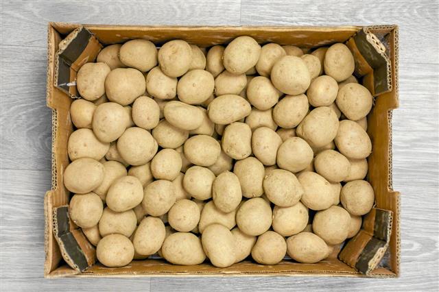 Raw Potatoes In Paper Box