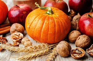 Wood background with pumpkin, apples, wheat, honey and nuts