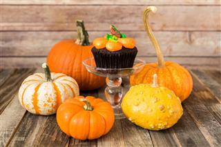 Pumpkin cupcake with fall gourds