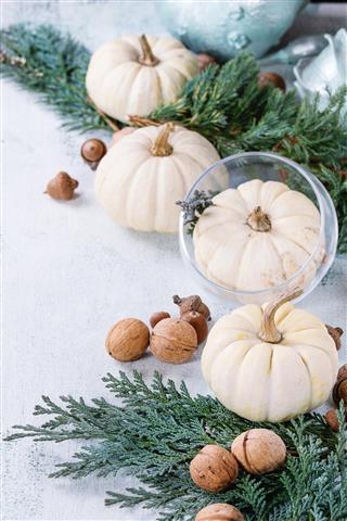 White decorative pumpkins