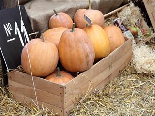 Diverse assortment of pumpkins in a wooden chest