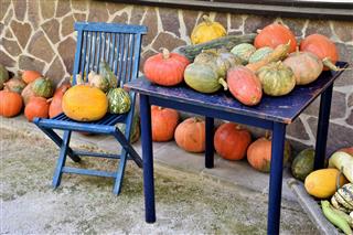 Pumpkins on chair