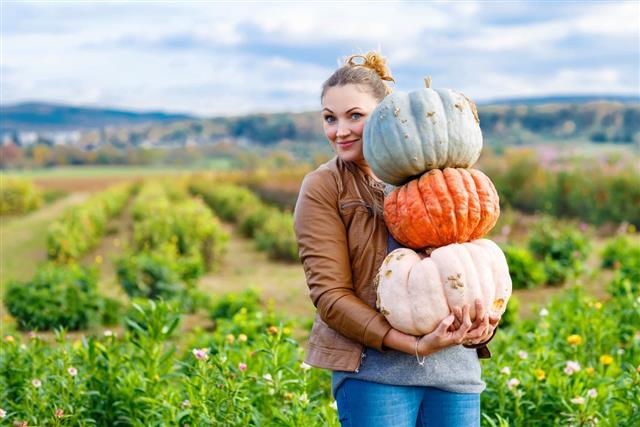 Beautiful woman with three huge pumpkins on farm