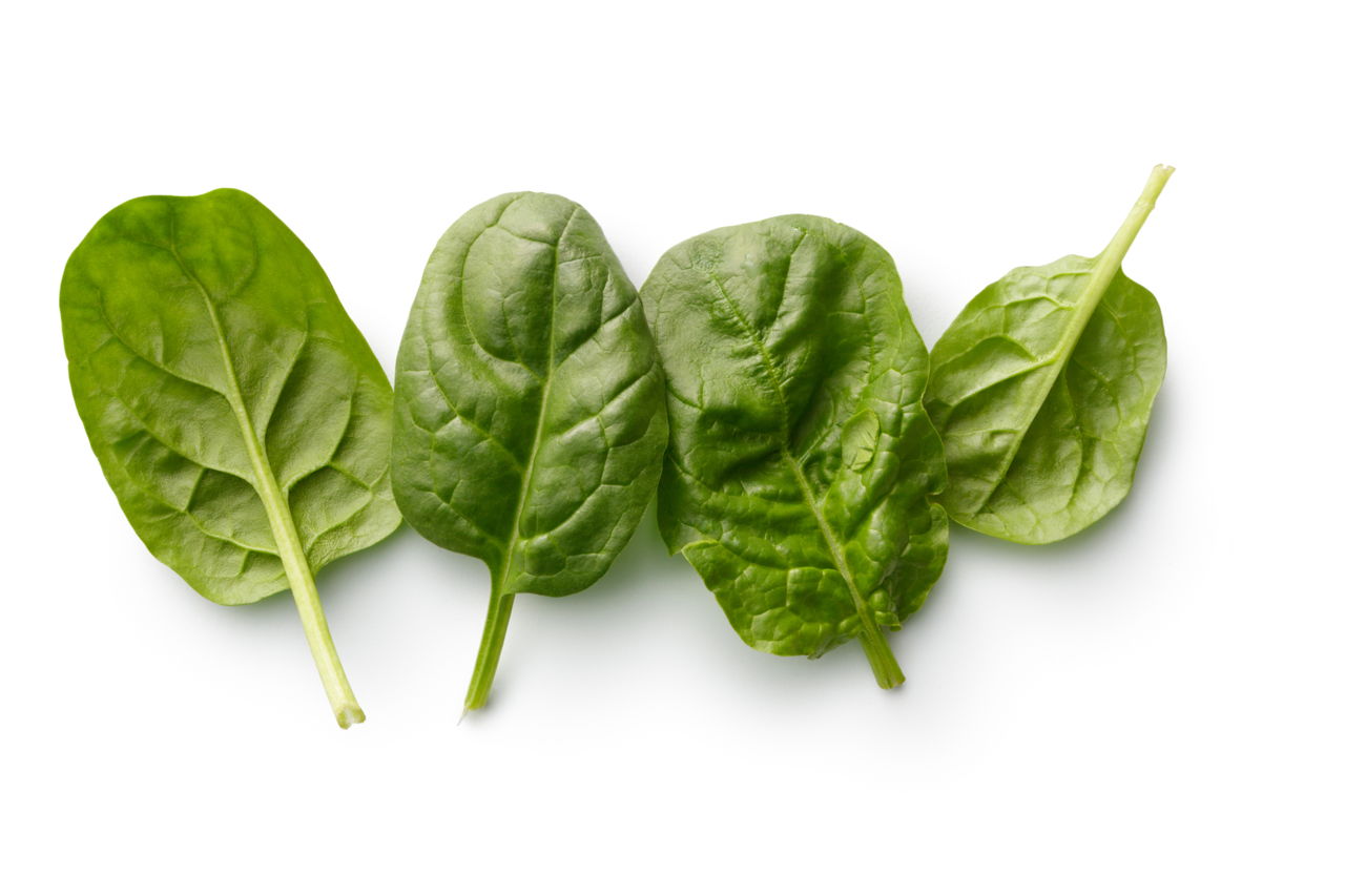 You Must Take a Look at These 5 Easy Ways to Freeze Spinach - Tastessence