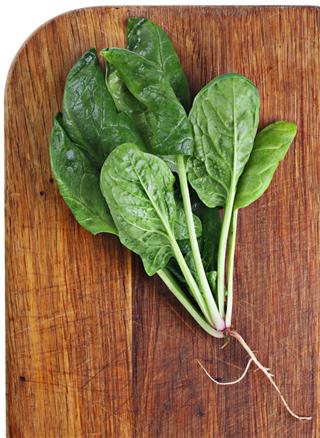 Spinach On Board